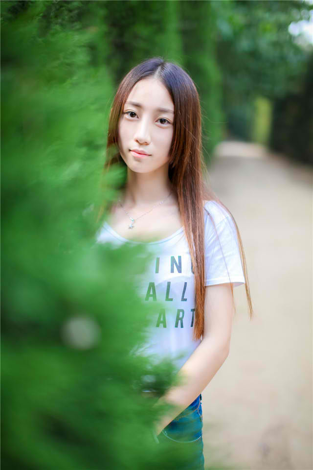 上门女婿叶辰小说