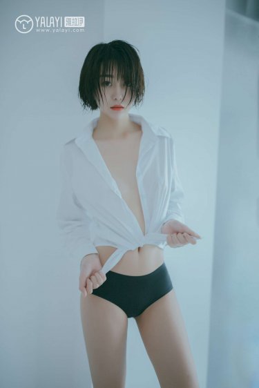 掌门女婿